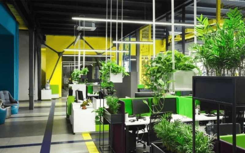 Nội thất thiết kế văn phòng xanh