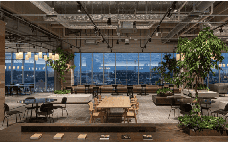 Phong cách nội thất văn phòng eco