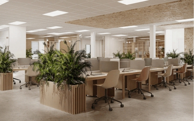 Thiết kế nội thất văn phòng xanh