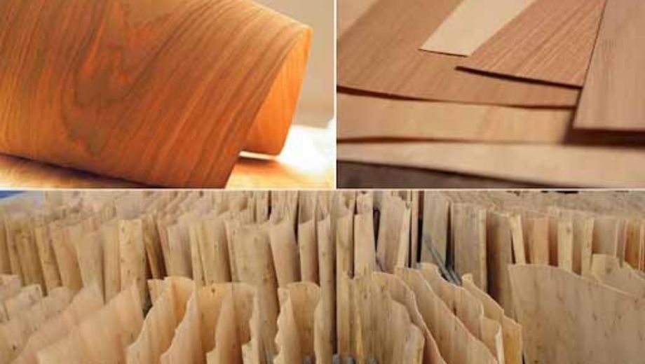 Cấu tạo và đặc tính của gỗ Veneer