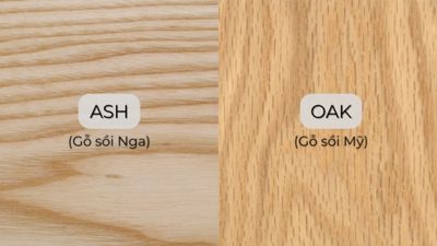 Gỗ sồi Mỹ và gỗ sồi Nga khác nhau như thế nào?