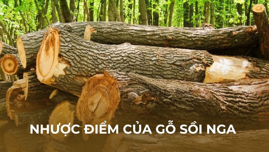 Nhược điểm cửa gỗ sồi Nga