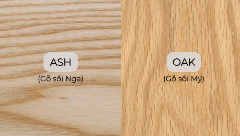 Phân biệt gỗ sồi Nga và Mỹ