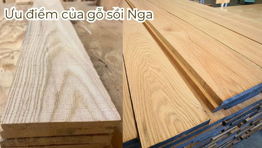 Ưu điểm của gỗ sồi Nga