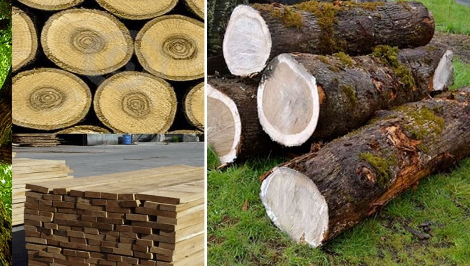 Ưu điểm của gỗ sồi